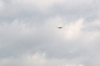 s4815798.jpg