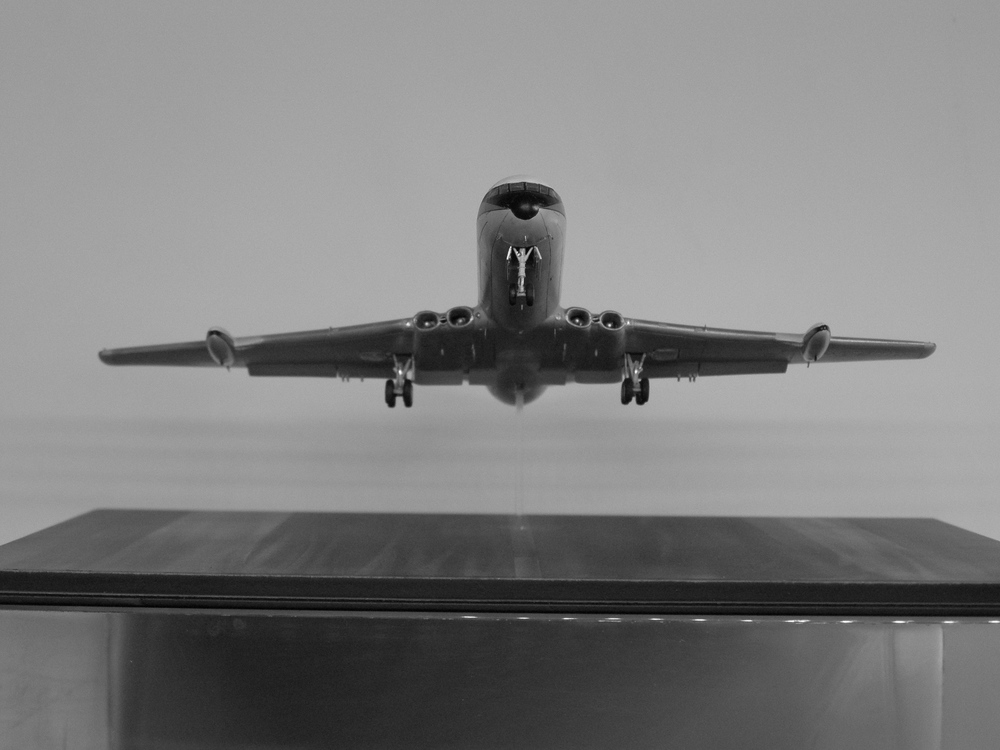 P1011694.JPG