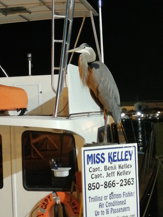 IMG_20210314_204558.jpg