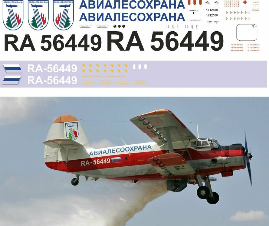 Ан-2 Авиалесохрана 1-48 (апрель 2022).jpg