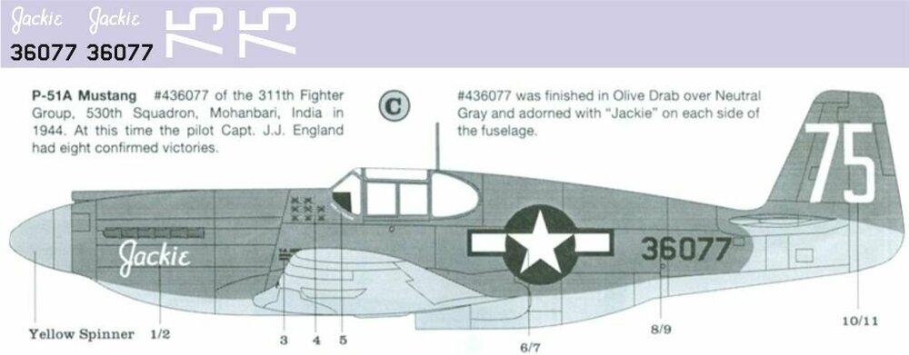 P-51 Mustang 1-72  (май 2022).jpg