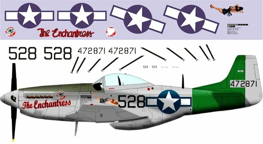 P-51 Mustang (Pin-art) 1-48 (350).jpg