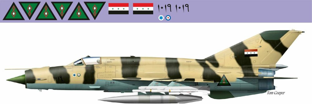 МиГ-21 Ирак 1-48 (январь 2024).jpg