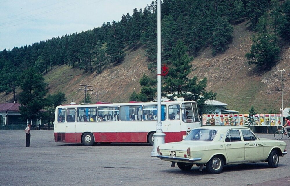 255_4.jpg