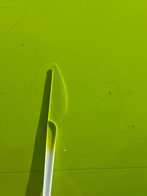 IMG_6470.thumb.jpeg.2b8f222392ced63b406a0111fe3ba537.jpeg